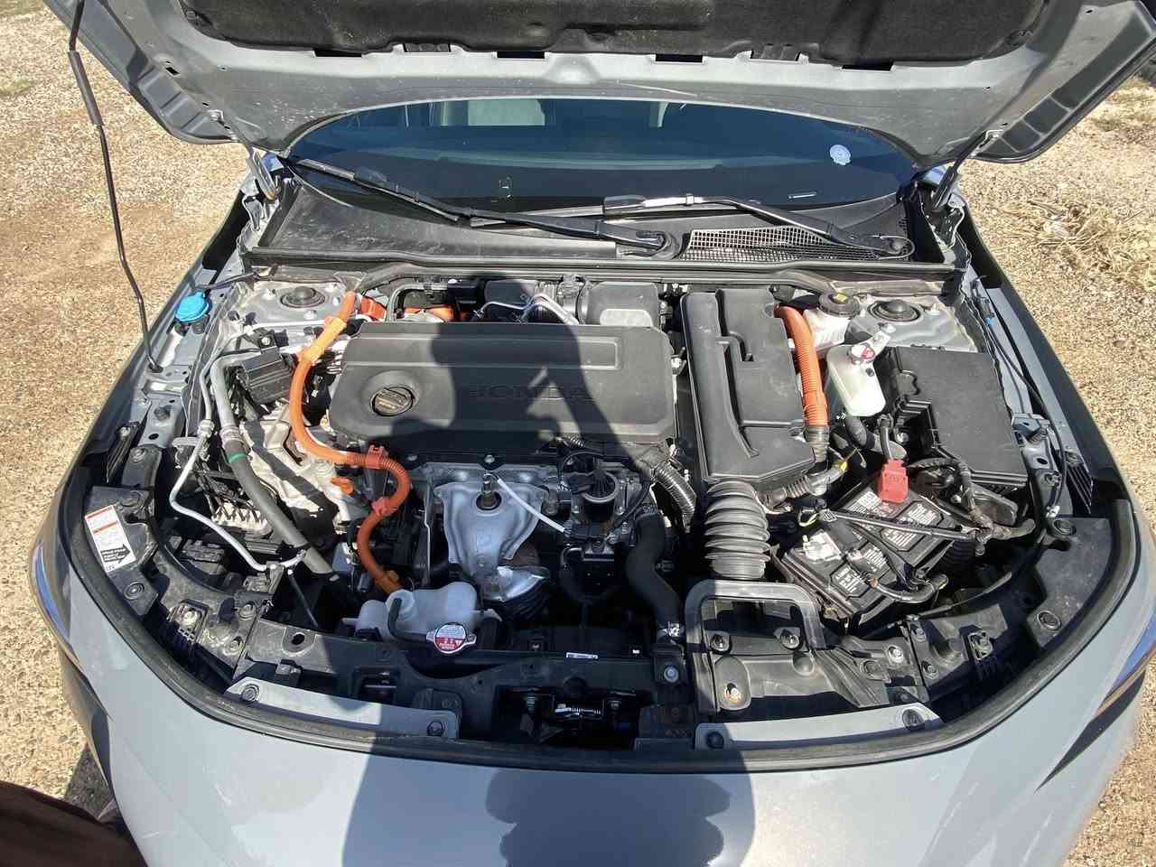 جماعت الي يكولون سعرك سعر اكورد اني مشتري منكم اكورد 25 تورنك بسعري نفس لون
للبيع هوندا سفيك تورنك 2025

صور حادث مرفقة

فتحا 

بصمة 

دمامات بوس 

شاشة كبيرة 

كاميرا دوارة 

نقطة عمياء 

كشنات جلد 

تدفئة ستيرن 

تحكمات ستيرن 

شفتات ستيرن 

تشغيل عن بعد 

تحديد مسار 

توقف ذاتي 

أربع وضعيات قيادة 

اوتو هولد 

سايد بريك بصمة 

محرك 2.0 هايبرد 

سونار مرفق مكاني بغداد 

السعر 185

***********
