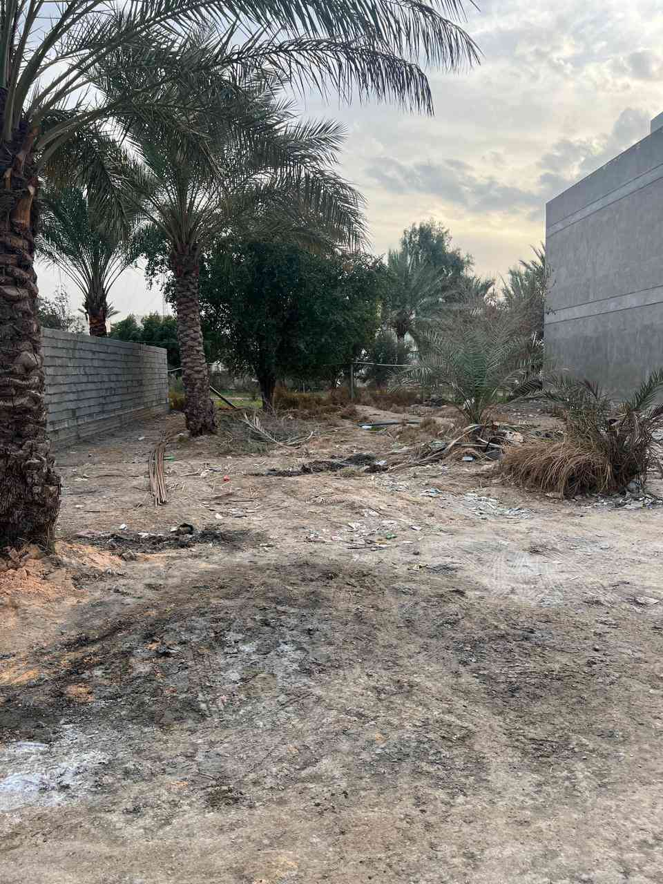 السلام عليكم توجد قطعة ارض 
سند 25 طابو الدورة 
مساحة 400 
الواجهة 16 
نزال25 
الموقع البعيثة شارع الحاجة ابتسام 
للتواصل خاص او على الرقم ***********
