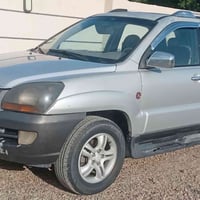 سبورتاج • صبغ • بدون دواخل