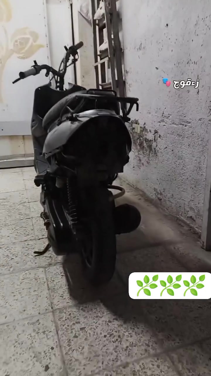 سلام عليكم ام تسعه للبيع فحل مكينه مفتوحه مره وحده كابرتر بلاد ضفيره كامله دراجه تخبل تشتغل سلف 
السلف مالها شغال سعر 170 والشراي بخدمته 
مكان عماره حي الخليج


**إذا كنت صاحب هذا الإعلان وتريد حذفه لأي سبب، رجاءا أرسل رسالة إلى الدعم الفني**