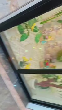 بعث العلمي • ١٩٠م • دورين فول وهيكل