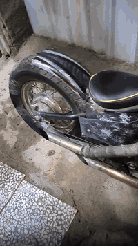 هارلي ستد • نجف • حالة زينة