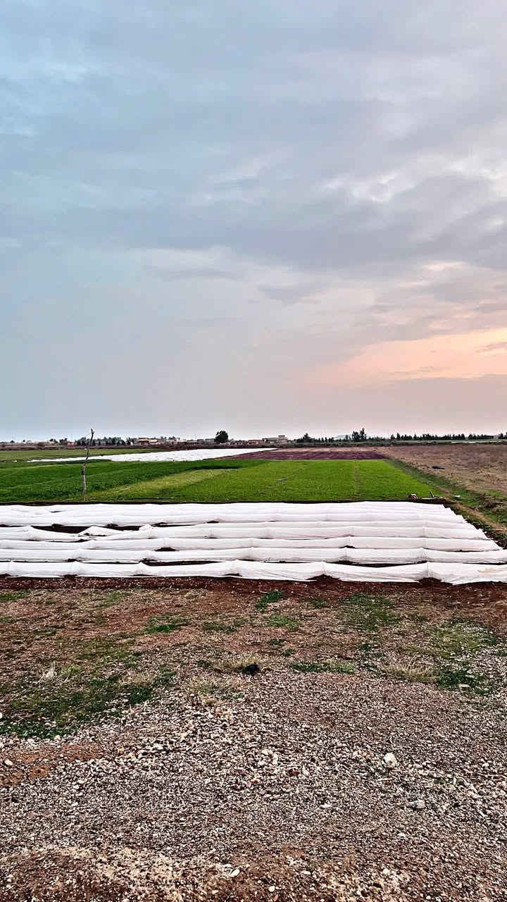 ارض زراعيه للبيع المساحه 7ونص واصل كهرباء وماء السكن صلاح الدين قضاء الدجيل ١١جلوديات قرب جامع الامام علي للاستفسار الاتصال ع الأرقام ***********
***********
