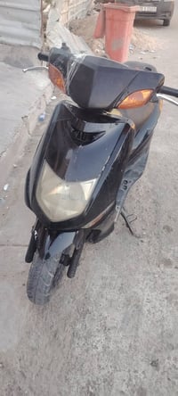 سكنس فحل • كهربائي • سلف