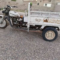 ستوته • شرط • واتساب