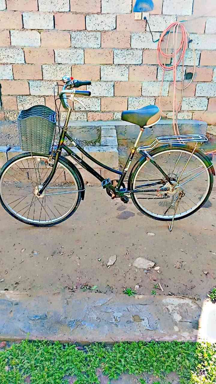 السلام عليكم 
بايسكل نضيف الحجم 26 اللون اسود بلاد 
تايرات وجوابه جدد وياله لشه عدلات مطابقات مختمات
بداله وحساس شغالات 
السعر خاص 
العنوان بعقوبة التحرير 
الشراي يجي خاص ودلل 
***********
