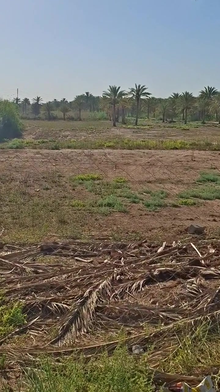 دونمين او دونم مباشر عالشارع سند ٢٥ تجاري يصلح مخازن او سكن
(منطقه السياحي ابو طماطه )
شارع تبليط عالجدول مباشرة 
للاستفسار  ***********
***********
