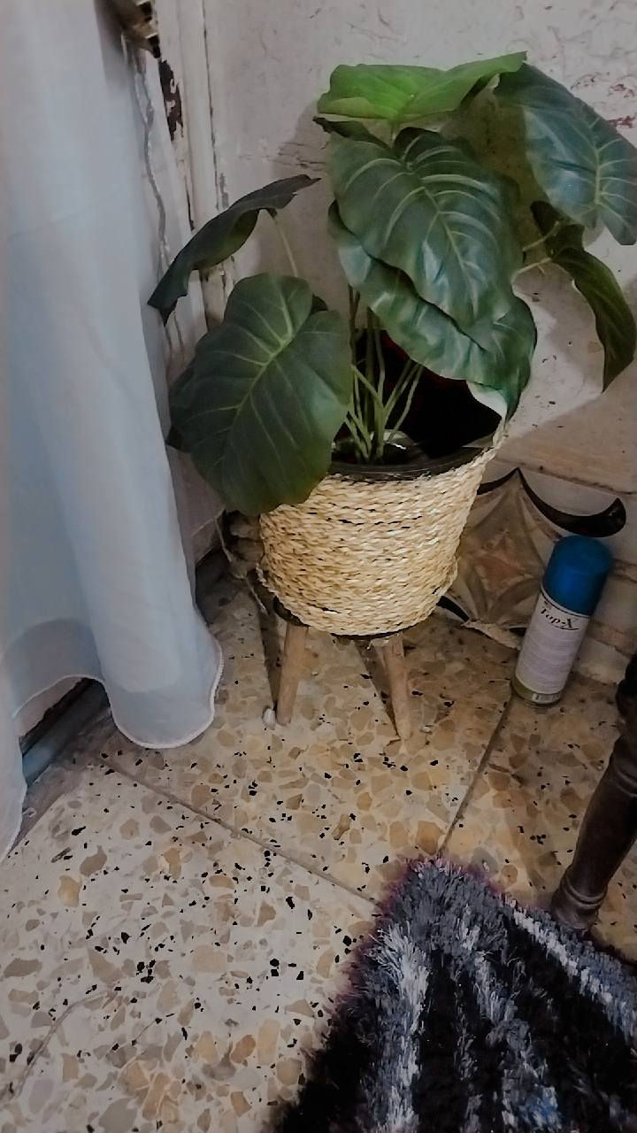 للبيع


**إذا كنت صاحب هذا الإعلان وتريد حذفه لأي سبب، رجاءا أرسل رسالة إلى الدعم الفني**