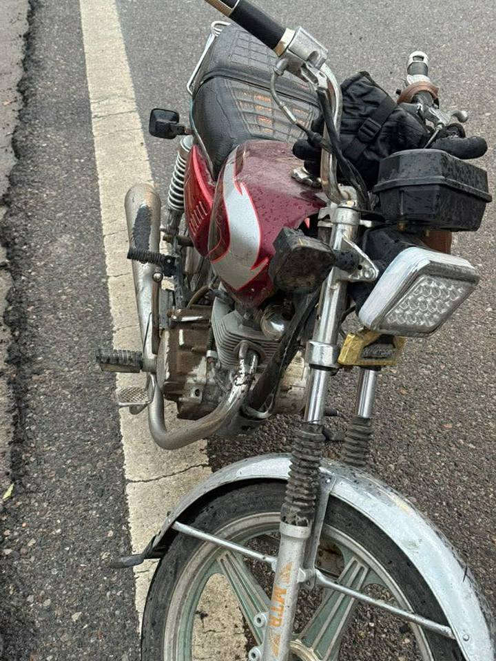 روبار  19 للبيع 220 الف في مجال
*********** أربيل, العراق
