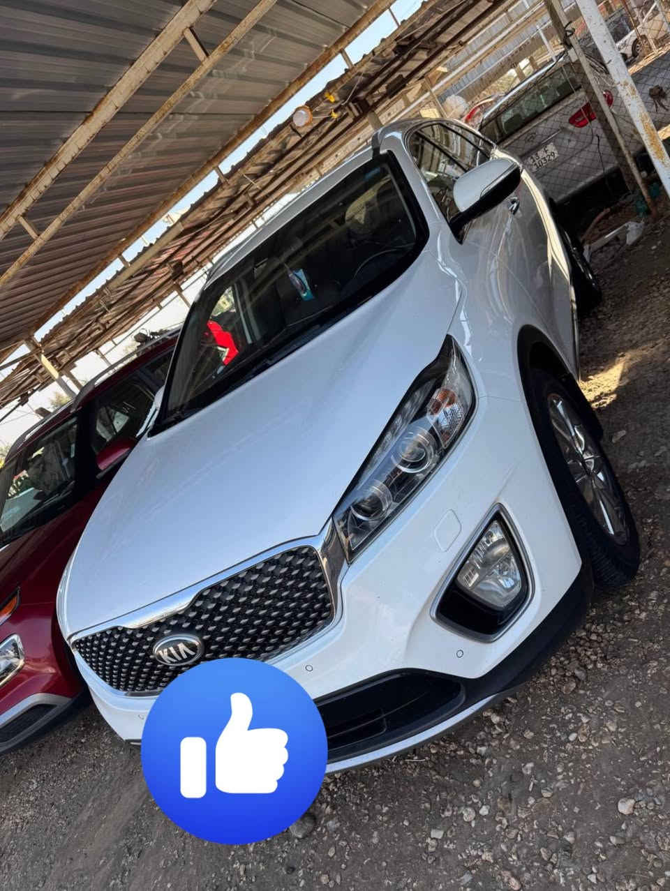 السلام عليكم كيه سورتنو 2016كويتي فول قماره حديد رقم بغداد الدولي جلد داخل قرميدي بصمه مري شفط لد نهاري بردات خلفيه كشن تدفئه تبريد بكلايت لد مكفوله من الصبغ والفتح والتبديل بيه بارد فقط شي قليل السعر 198وبيه مجال بسيط مكاني بابل ***********
