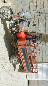 ستوته • الفلوجة • ٢٠٢١
