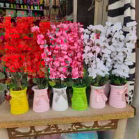 نجف • مجمع اسعاري • توصيل مجاني