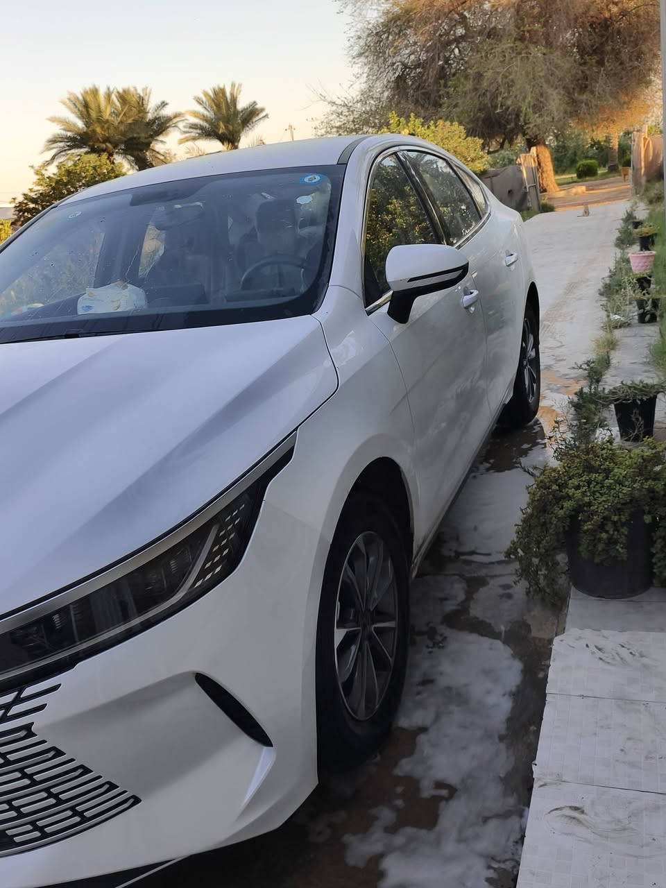 السلام عليكم BYD  دسترؤيل 2025 سياره جديده بيها طخه بسيطه شبر بجاملغ الخلفي ؤرجعت بارد سياره بحاله الوكاله ماماشيه شي قليل السعر 17 و 600 ؤبيها مجال وترهم مراؤس 
 للاستفسار 
‏‪***********‬‏
