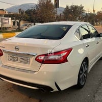 التيما • ٢٠١٧ • رقم أربيل