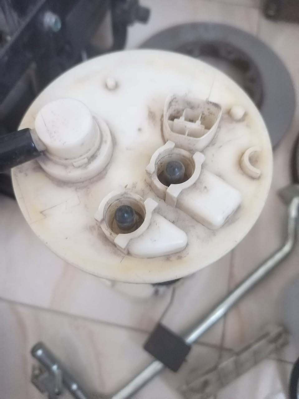 اغراظ للبيع هايسا و جنبي  التصال *********** بغداد الشعب
