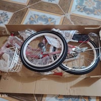 باسكل • حجم ٢٠ • جديد