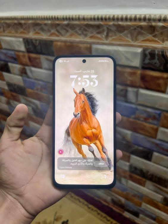 بوكو M7  ذاكره 256 رام 8 شاشه لجهاز 144هرتز مستعمل 10 ايام فقط شخط ما بي 60 فريم ببجي  مراوس او بيع شنو عندك نزل مكاني بغداد 
رقمي ***********
