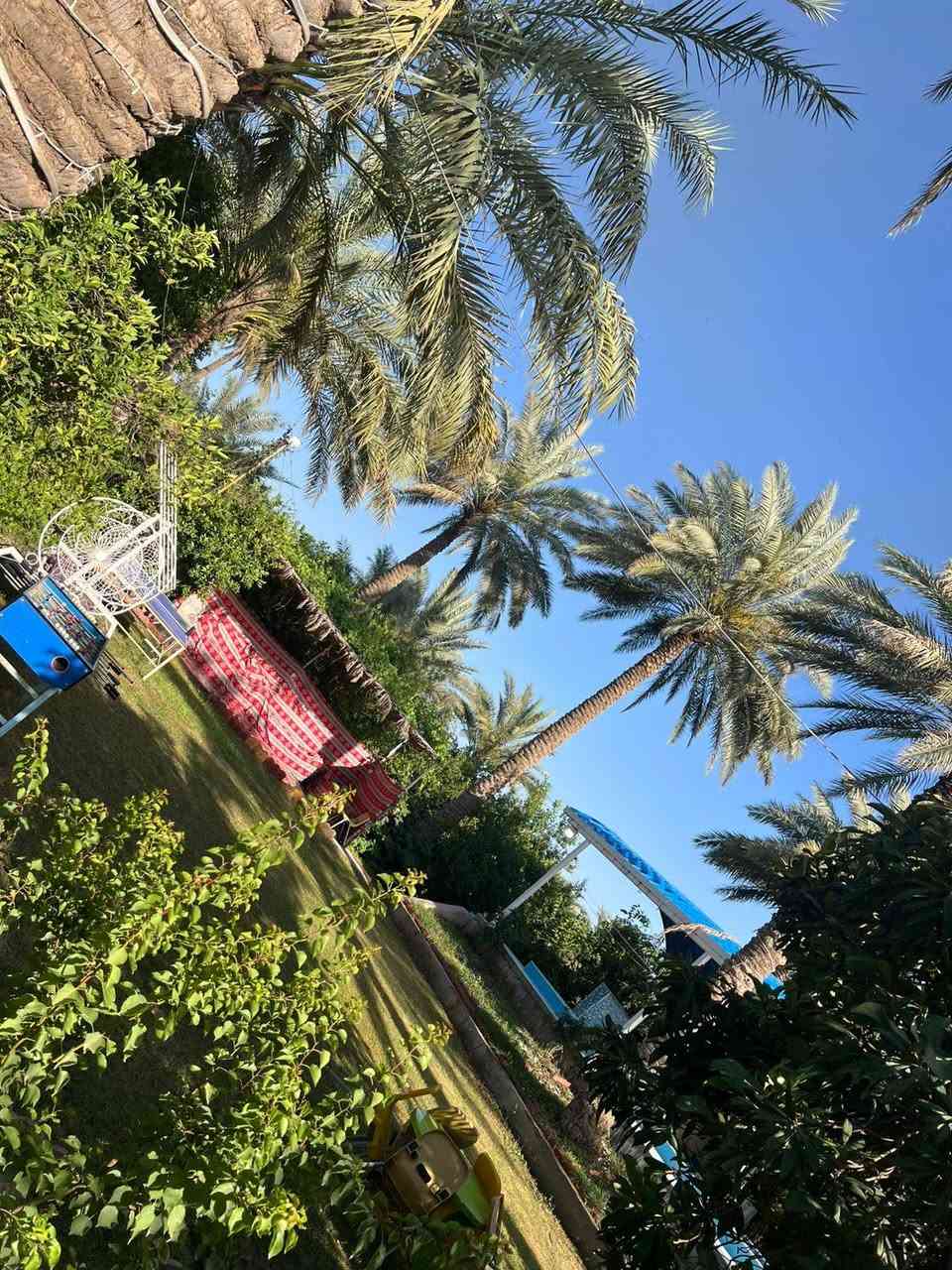 مزرعة لسياحة والترفيهية قضاء بلد
سعر الشفت 120
 الإيجار اليومي
🔹 مسبح الكبار 🏊 
🔹 مسبح اطفال  🏊
🔹 مسبح شلال 
🔹 مطبخ متكامل
🔹 صاله كبيرة غرف نوم كبيره
🔹 مساحة المزرعة دونم 4 دونم 
🔹 بستان انواع فواكه
🔹 ججلسات خارجية عربيه 
🔹 شوايات لجميع المشاوي
🔹 حديقة كبيره
🔹 العاب مختلفة 
🔹 كراج سيارات داخل المزرعه
رقم مزرعة 42 🌿 
خدمة توصيل كافة انواع المشتريات من مدينة بلد
#العنوان #صلاح #الدين #قضاء #بلد 
للحجز والاستفسار *********** 📞 
يوجد واتساب ☎️

#مزارع_للايجار #اليومي #بلد
#مزارع_بلد_السياحيه #الترفيهيه #بلد #والبساتين
