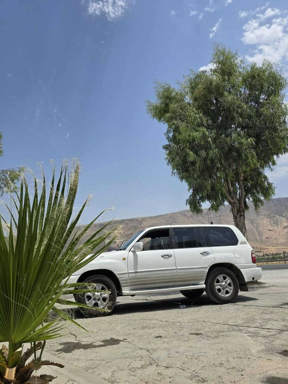 ‎مؤنيكا2000سحر80معامله سبؤخ عام كيرومكينه وئكسل يَبشرت ئارم بلا ستيك سليماني خرامش بشرت  ***********‎ أربيل, العراق
