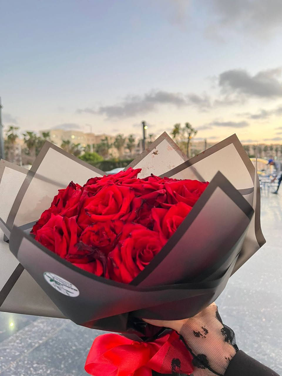 There's no caption because the client already sent the caption for some beautiful pictures. ♥️
For reservations and inquiries 
010 99760278 
01070800712
#ورد_أحمر #تنسيق_ورد #هدية #حب #بوكيه_ورد #فخامة #اكسبلور #هدايا_حب #الورد_سر_السعادة #تغليف_شفاف
#RedRoses #FlowerDesign #GiftIdeas #FloralArrangement #RedPassion #Bouquet #FlowerPhotography #MinimalistGift


**إذا كنت صاحب هذا الإعلان وتريد حذفه لأي سبب، رجاءا أرسل رسالة إلى الدعم الفني**
