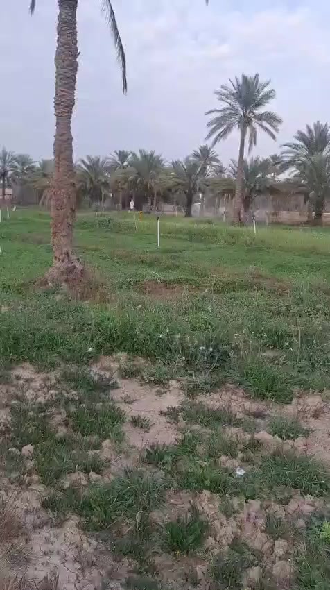 #دونمين 

السلام عليكم اخواني الاعزاء 

دونمين طابو زراعي سند 25

كامل الخدمات ماء وكهرباء وتبليط 

الواجهه الكليه 90 متر 

تباع حسب الطلب من 1000 وفوك 

الشارع 10

الموقع خلف تقسيم الأنوار لتعليم السياقه 

للاستفسار اكثر مراجعة مكتب هنا المستقبل للعقار 

حلة قرب شارع 100
***********
