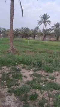 ٢٥٠٠م • طابو زراعي • واجهة ٩٠م