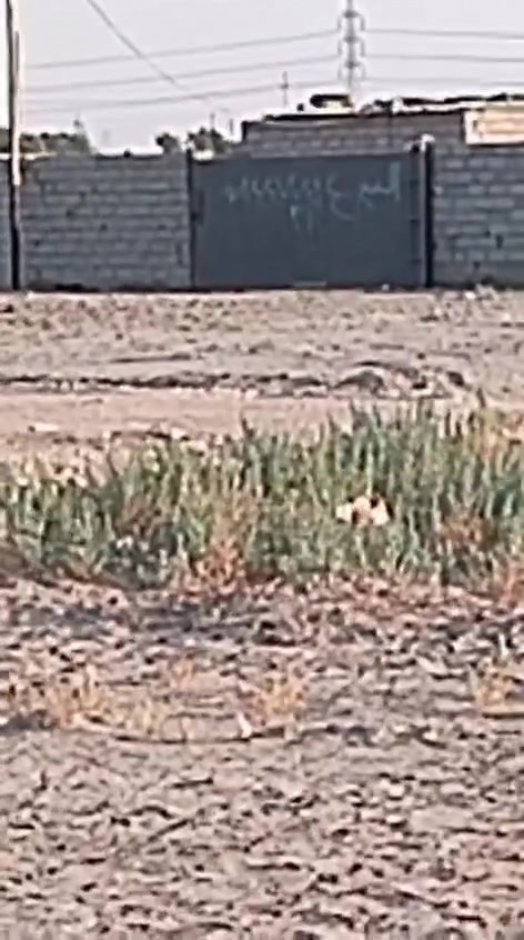 قطعه زراعي مساحته 400 متر مسيجه بيه غرفه ماي واصل اله وكهرباء حي الجوادين نزله ثالثه قرب مزرعه بنفسجن ***********
