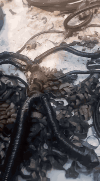 موقعنه جديد بغداد الدوره شارع الوادي 
الحمد لله تم تسليك ضفيرة اخونه من الديوانيه الحبيبه 

رافد العكيدي 
***********
***********
