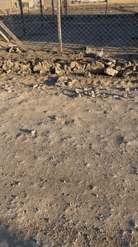 ‏السلام عليكم توجد لدينا قطع على الشارع العام بحي الجوادين 200 متر بأس...