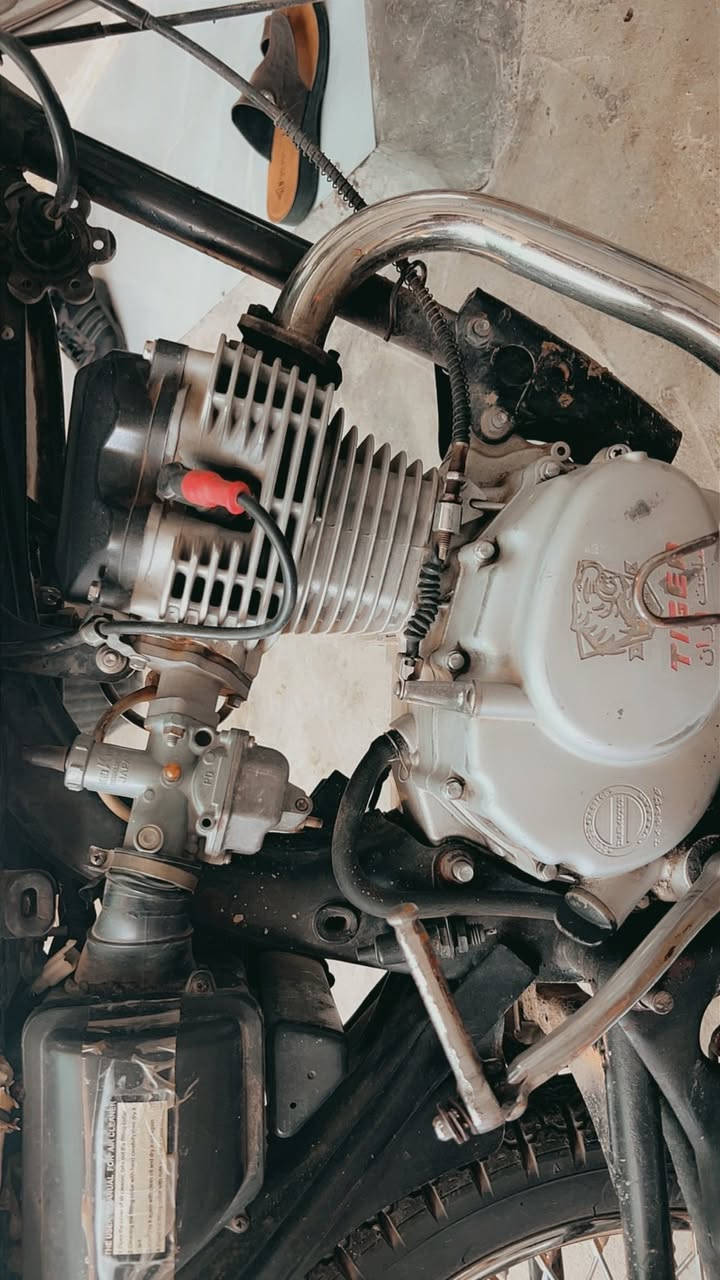 تايكر للبيع مستعجل علا بيعتو مامفتوح ماطور مال بيت لايت مكينه ٢٠١٩ معدل وتحريكه نار 🔥  السعر ٢٤٠ وبي مجال للشراي


**إذا كنت صاحب هذا الإعلان وتريد حذفه لأي سبب، رجاءا أرسل رسالة إلى الدعم الفني**