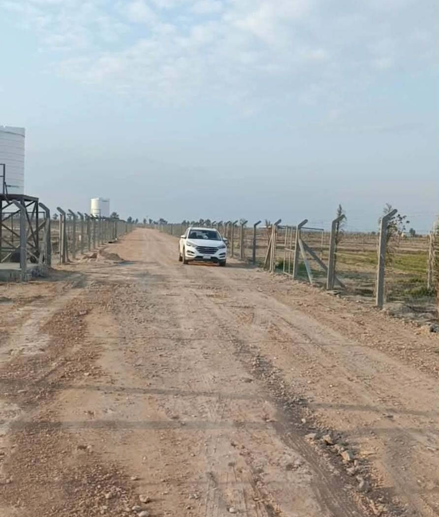 🌳 أرض زراعية للبيع في بابل 🌳
للبيع: أرض  مقسمه وجاهزة المساحة الكلية (5دونم) يتم بيعها حسب طلب المشتري  سند 25 - تحويل مباشر
عرض مميز لأصحاب المزارع والاستثمارات الزراعية،  بنظام مزارع حديث في موقع حيوي.
📍 الموقع:
بابل - بالقرب من مجزرة الخضراء (تقسيم مزارع).
📑 التفاصيل القانونية:
نوع العقار: طابو زراعي.
السند: سند 25.
الإجراءات: تحويل ملكية مباشر باسم المشتري.
🛠️ الخدمات والتجهيزات:
الأرض مخدومة بالكامل وجاهزة للاستخدام:
السياج: محاطة بالكامل بسياج (بي أر سي - BRC).
الري: متوفر ماء سقي واصل للأرض.
الكهرباء: واصلة ومجهزة.
الطرق: طريق "سبيس" عريض بعرض 10 متر يسهل وصول السيارات والمعدات.
العنوان بابل النيل منطقه الصياحه قرب مجزرة دواجن الخضراء
دوانم مقسمه كل دونم وحد
السعر الدونم 70 مليون
‏‪0777 994 5622‬‏
