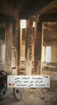 اربعة شاصي • ٧ اوراق • سحك