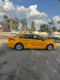 كورلا ٢٠٢١ • بصمه • كركوك