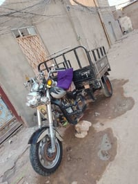 ستوته • مكفوله • موديل ١٦