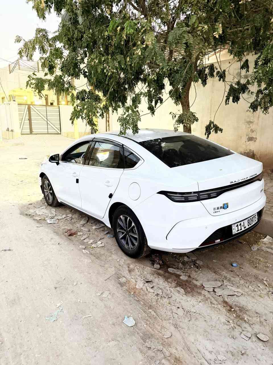 سياره BYD 2025 دسترويا للبيع للتواصل ***********
