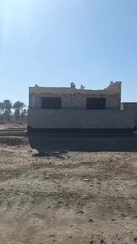 حله بكرلي شارع الغسل • ١٠٠م • طابو زراعي سند ٢٥