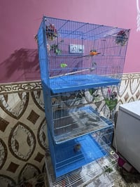 أقفاص • عدد ٤ • مأكليات اقتصادية