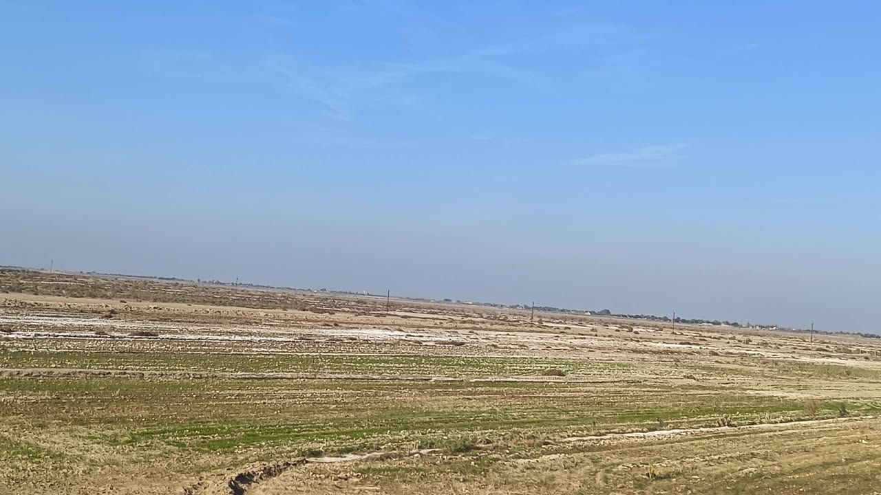 السلام عليكم كاع البيع 30دونم عله المصيفي هيه وزرعهه يتوفرر ماي وكرهباىه ومعه بستان نخيل 3دوانم والتبليط عنهه 5متار ***********.***********
