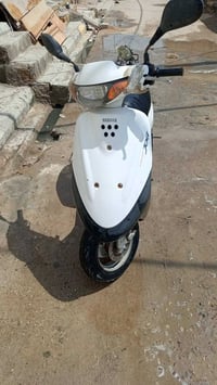 منغولي • مفتوحة • نضيفة