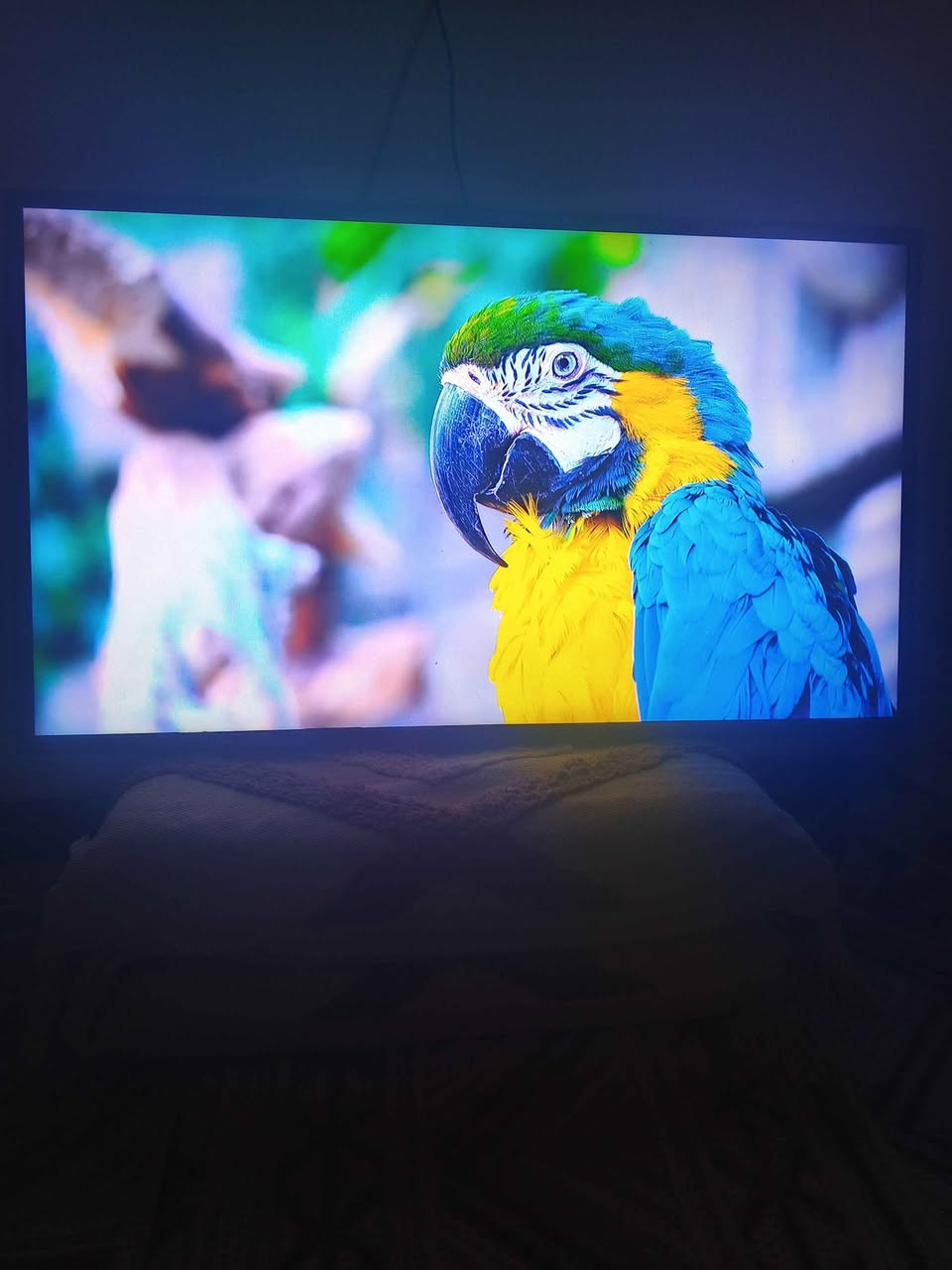 شاشه يلجي الكوري حجم43 ام نت فور كي ستلايت منه وبيه تدعم جميع البرامج سعر 190 وبيه مجال البصرة, العراق


**إذا كنت صاحب هذا الإعلان وتريد حذفه لأي سبب، رجاءا أرسل رسالة إلى الدعم الفني**