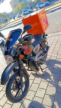 بوكسر 23 07882990455