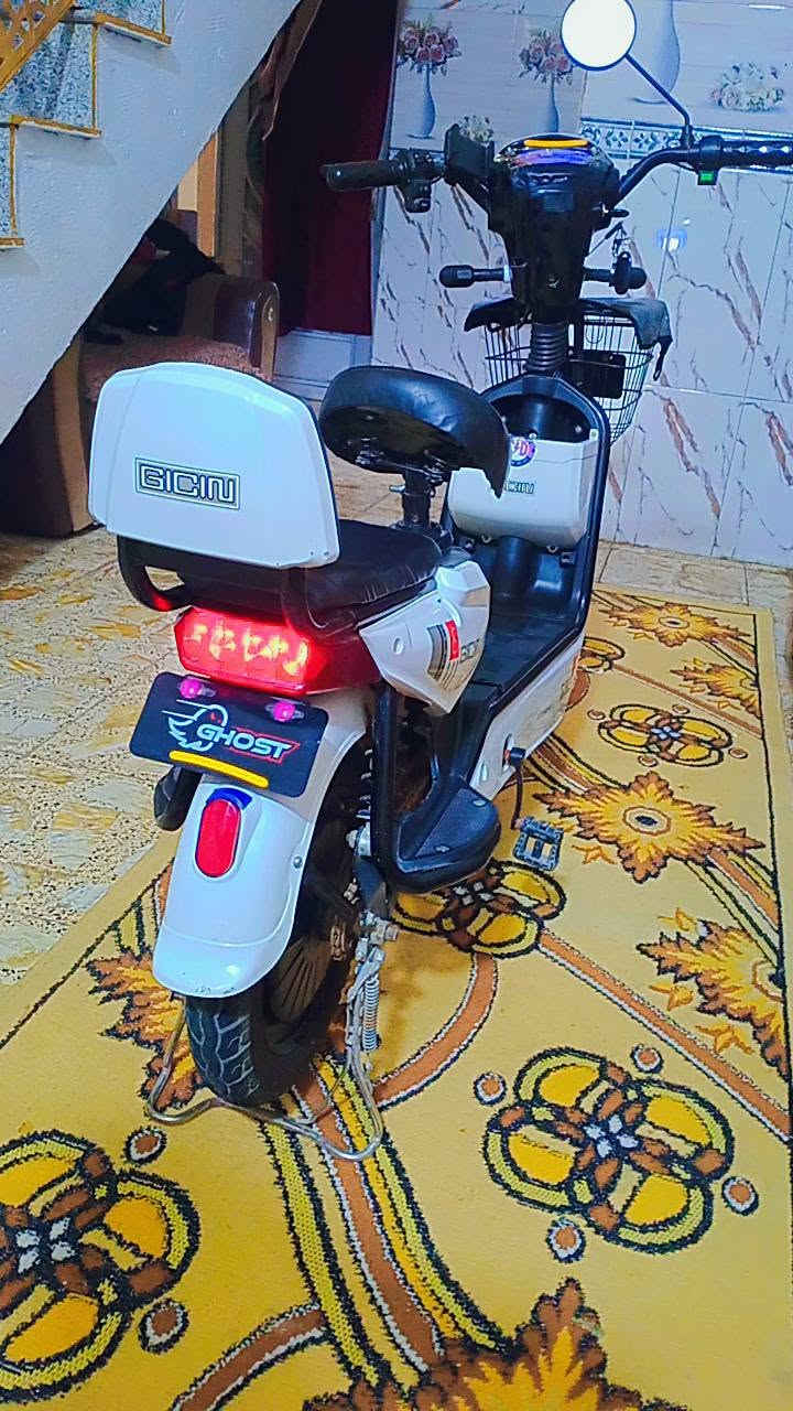 ‎دراجه شحن حجم 14 نظيفه شارط الفحص‎ حلة, بابل


**إذا كنت صاحب هذا الإعلان وتريد حذفه لأي سبب، رجاءا أرسل رسالة إلى الدعم الفني**