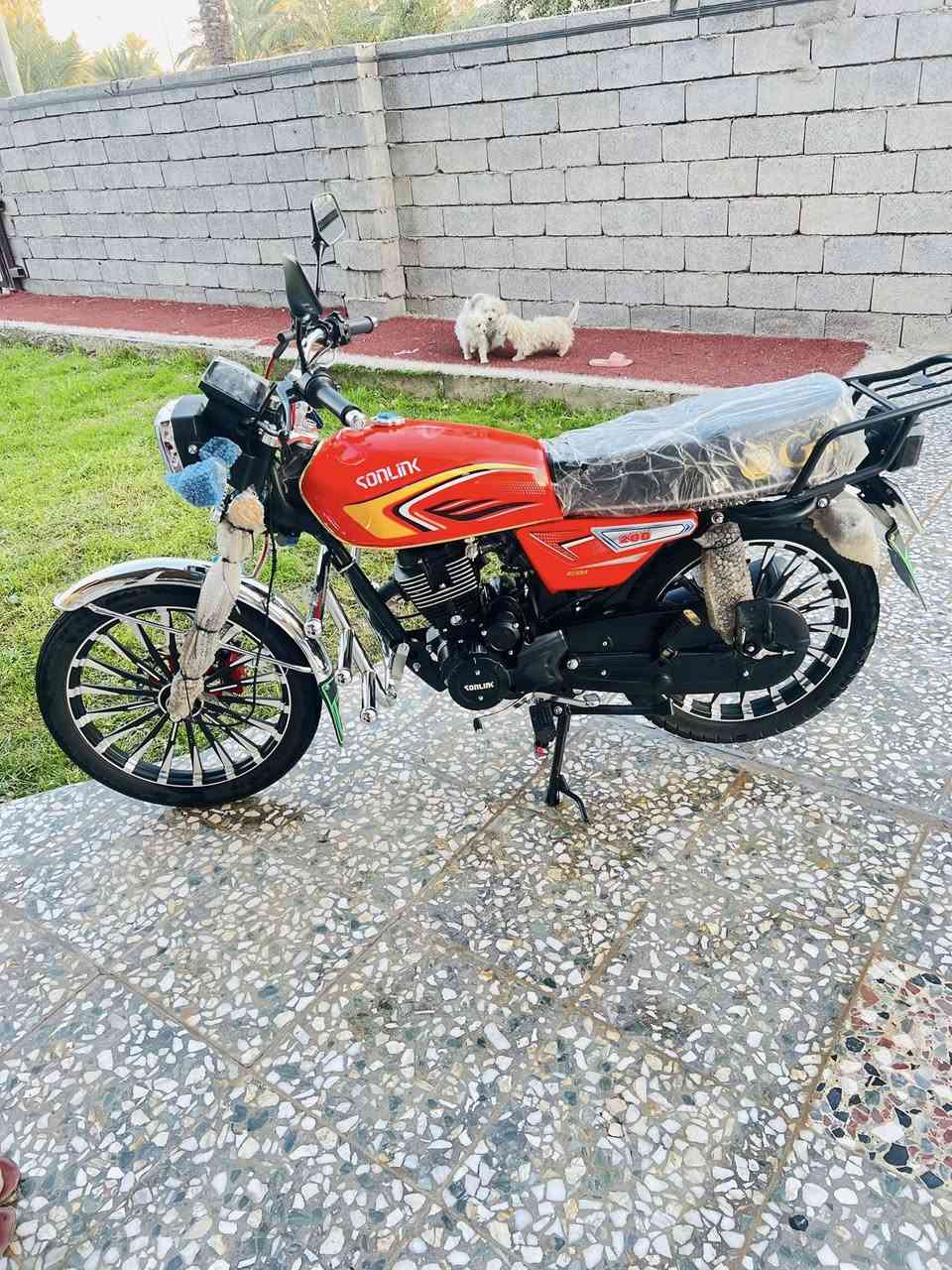 السلام عليكم 
دراجه ايراني للبيع  موديل (2025) شهر 10

دراجه علا وضع الشركة بعده نايلون شركه 
لاستيك التار بعده بي 
 تجي تأخذ الي بالصوره 
مكينه 200c الون الاسود مرغوب 
سولنك درجه اولى حفر 
بصمات 2+سوجات 2
                             ((السعر 970بيها مجال للشراي ))
اوراق الدراجه كامله 
مكاني بغداد فلكه حي النصر 

 للتواصل ه‍‏***********‏
