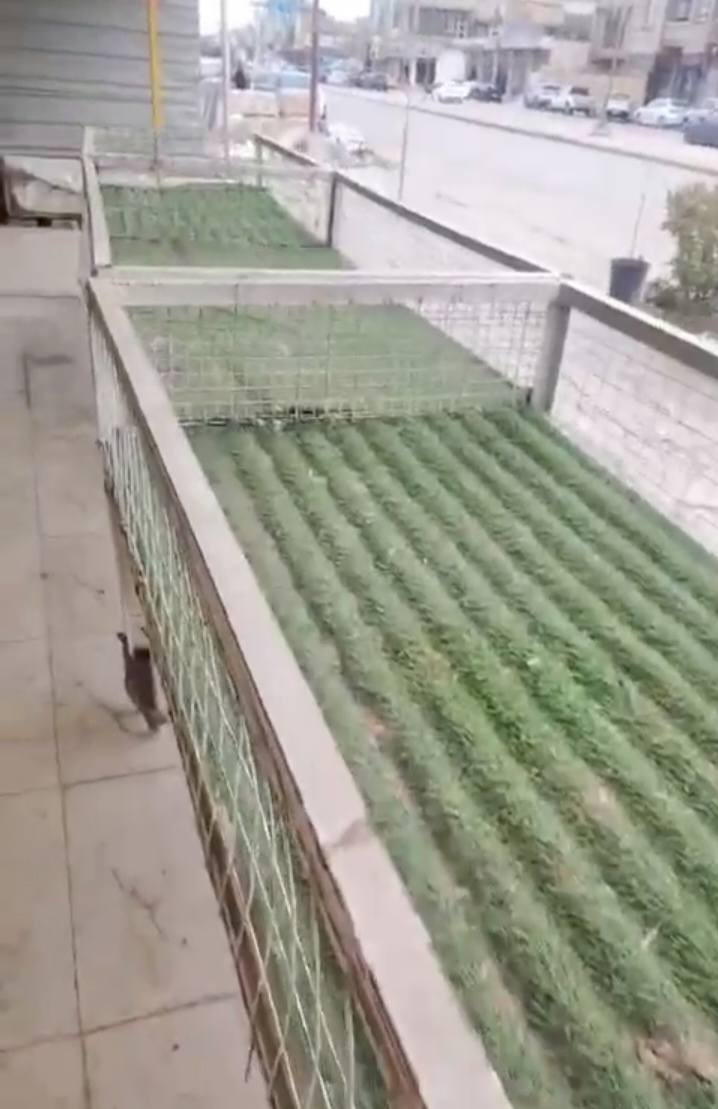 اخوان بقن غراض المحل 
عارضات 2
مجمدة1
بانيو قفصين دجاج ميز تقطيع دجاج مولد كاز 
رقم راعيهن ***********
