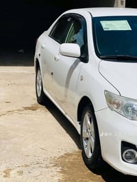 كورلا • ٢٠١٣ • أربيل دولي