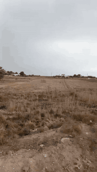 الدير الاوسط • دونم ونص • طابو تحويل