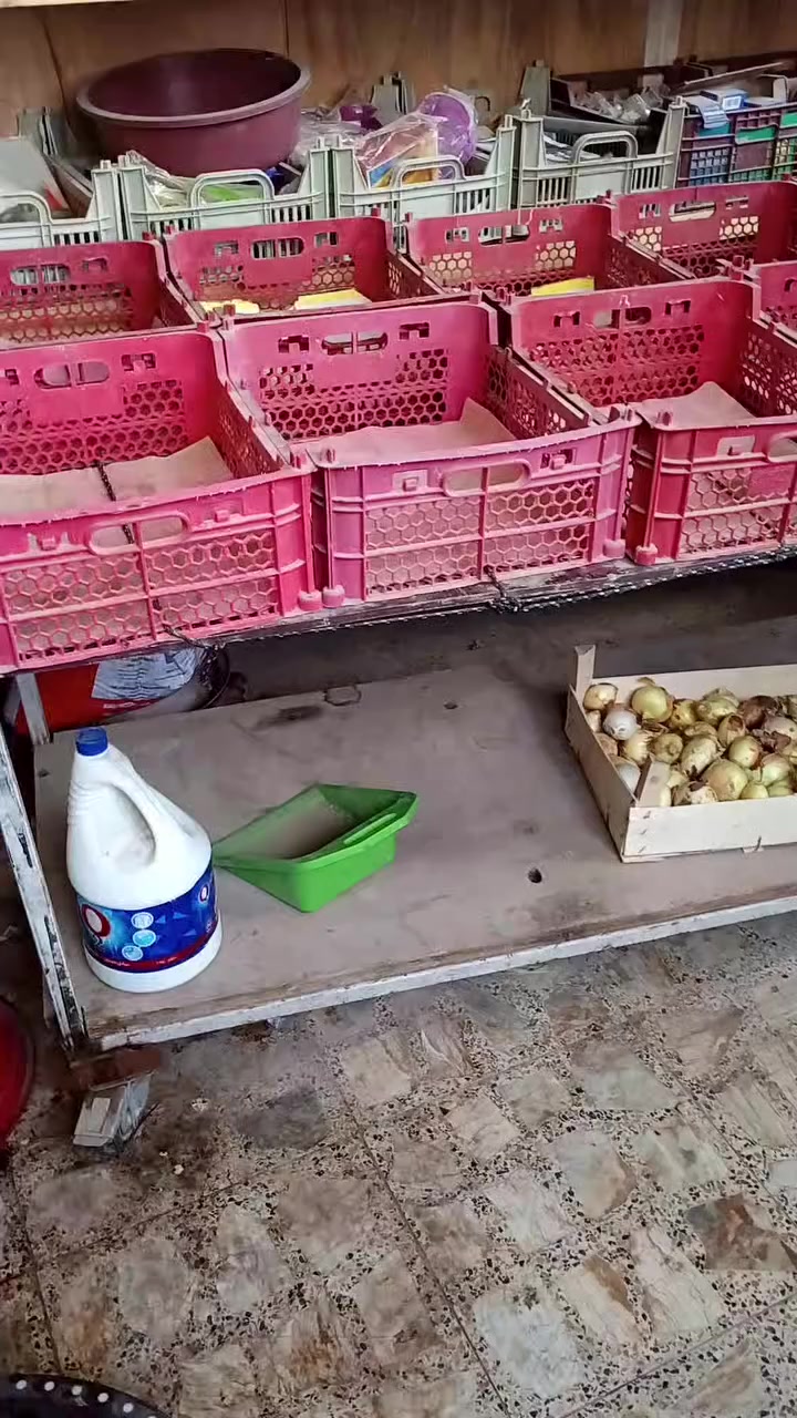 عربة بسطيه طابقين طول 240 سم عرض 80 سم ارتفاع 80 سم ***********
