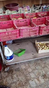 عربة بسطيه طابقين طول 240 سم عرض 80 سم ارتفاع 80 سم 07801577998