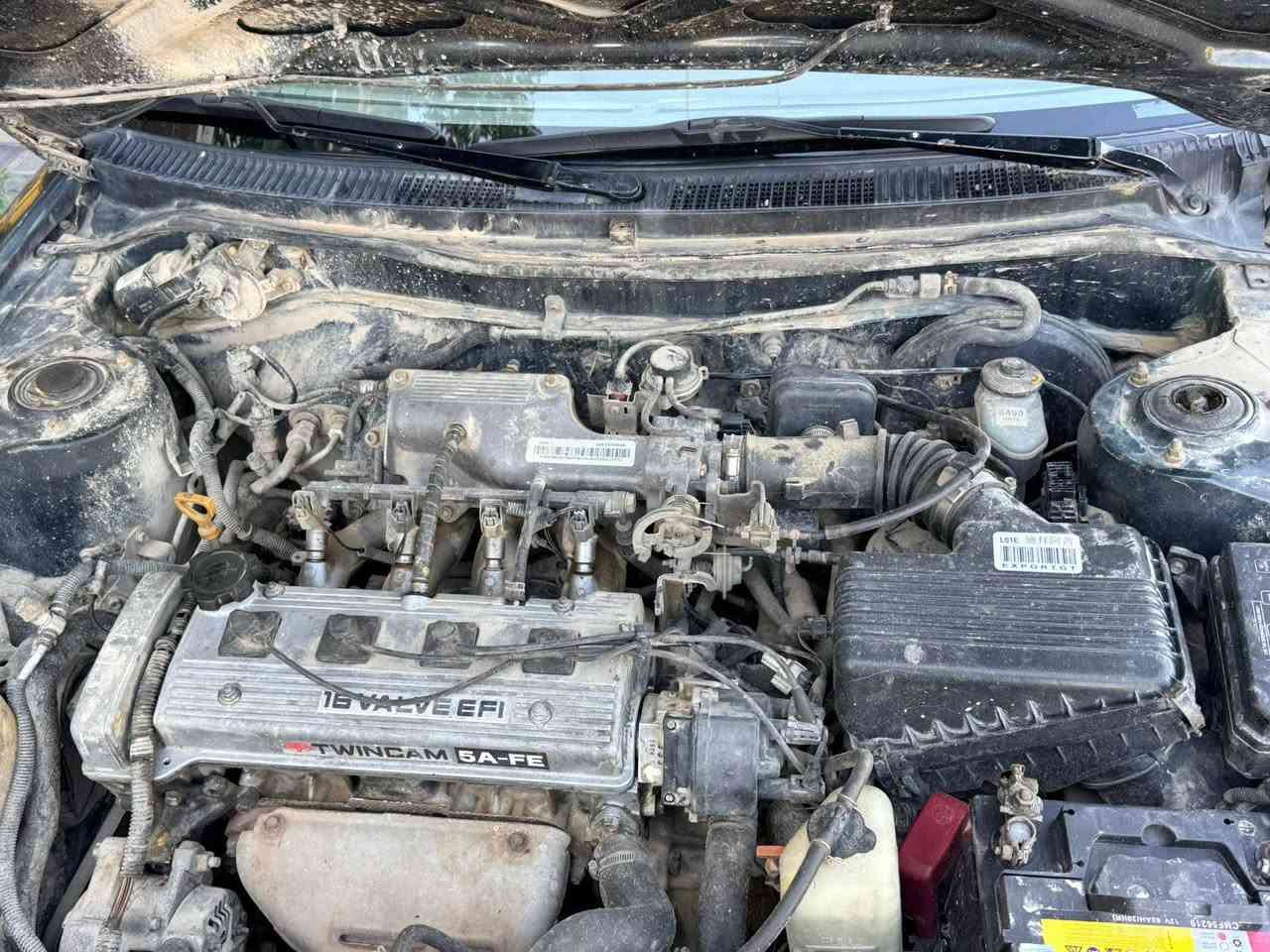 سلام عليكم سياره كورولا السعر 65 بدون مراوس 
 رقم بغداد نكليزي بسمي موديل 97 سياره زيرو يسره بلاد مو محور سياره دكت جاكوج مابيه مكفولة من كص ونقل جذه وحادثه قوي وتبديل ولخياس صبغ جماليه فقط ولياباني مامعيوب بل صبغ سياره احله من لصور بهواي تجي اذا الكيت نقص اخسرلك كروه مرجع سياره جاهزه من كلشي وكلشي شغال كير ومكينه بل كارتون تخم تاير حداديه كهربائيات باتري كله جديد تتفئه تبريد غرفه جديدة شكره مكان سياره نجف تواصل عن طريق ***********ملاحضه اذا تشوف سعره غالي ادعي بل رزق  مكلف بنشر ترید تشتري اتصل ماعندك رصيد عل واتساب

