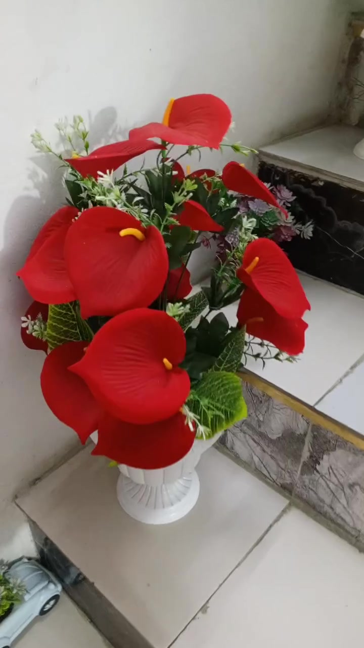 السلام عليكم زرع اصطناعي 3قطع كبار السعر 30الف جديدات


**إذا كنت صاحب هذا الإعلان وتريد حذفه لأي سبب، رجاءا أرسل رسالة إلى الدعم الفني**